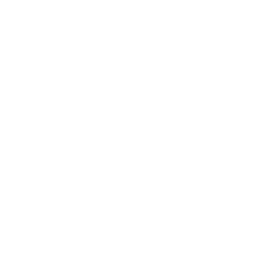 NetPulse Logo